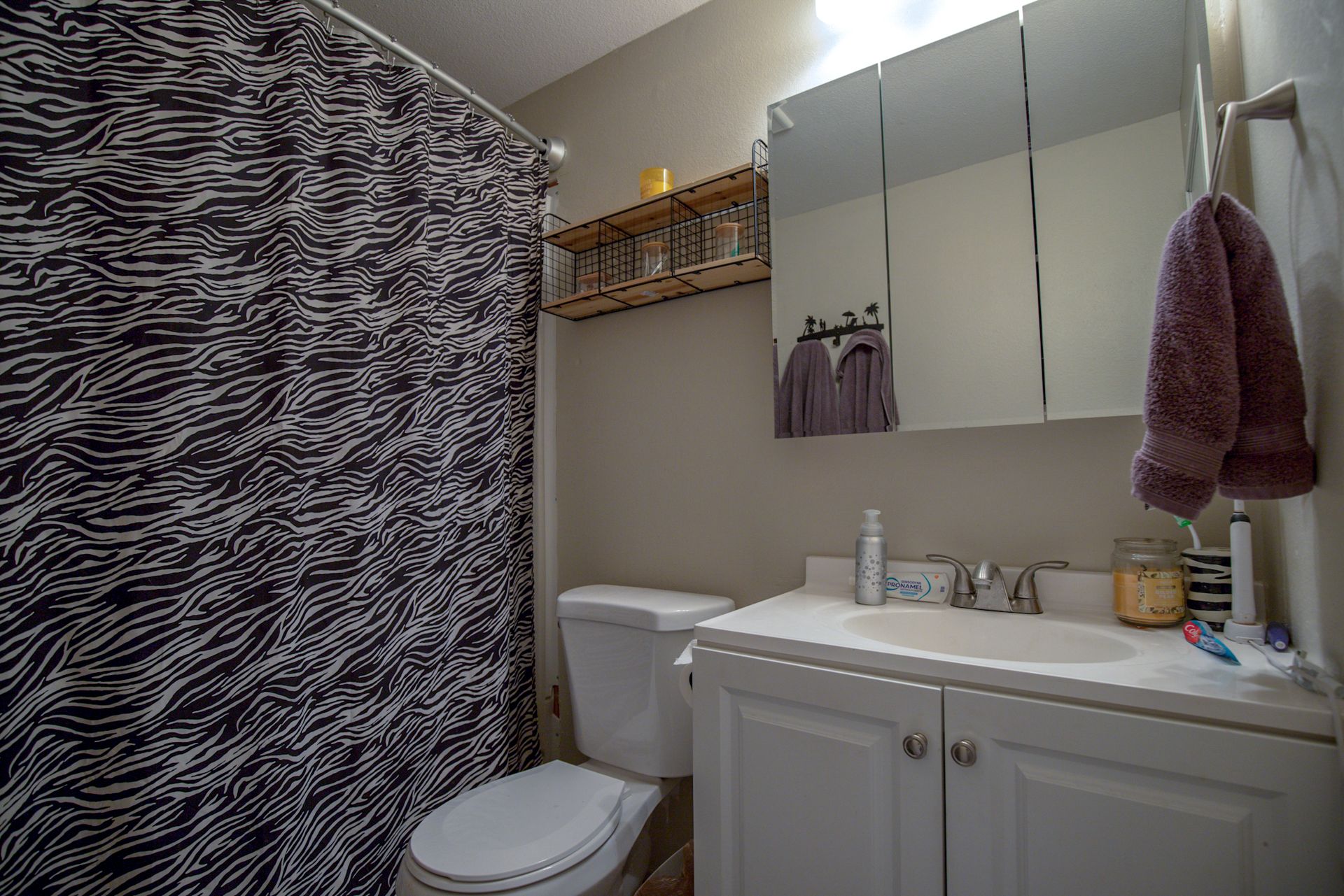 Real Estate Photography Bathroom
